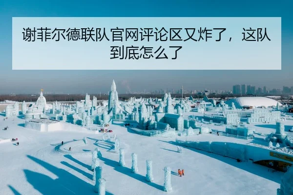 谢菲尔德联队官网评论区又炸了，这队到底怎么了