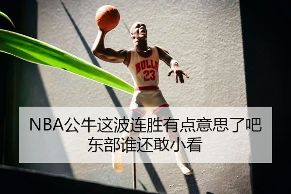 NBA公牛这波连胜有点意思了吧东部谁还敢小看（kaiyun）